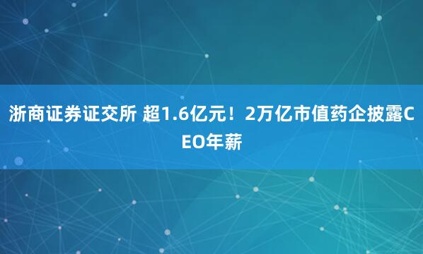 浙商证券证交所 超1.6亿元！2万亿市值药企披露CEO年薪