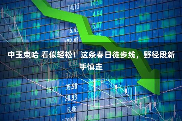 中玉束哈 看似轻松！这条春日徒步线，野径段新手慎走