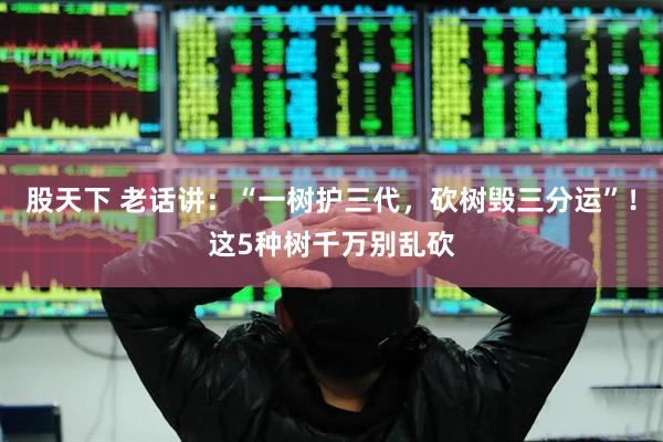 股天下 老话讲:“一树护三代,砍树毁三分运”!这5种树千万别乱砍
