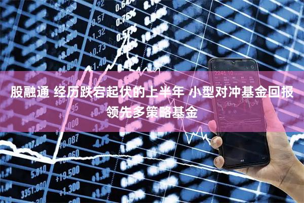 股融通 经历跌宕起伏的上半年 小型对冲基金回报领先多策略基金