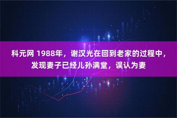 科元网 1988年,谢汉光在回到老家的过程中,发现妻子已经儿孙满堂,误认为妻