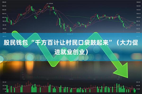股民钱包 “千方百计让村民口袋鼓起来”（大力促进就业创业）