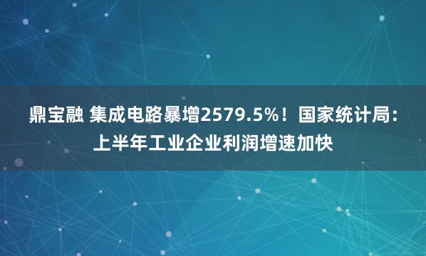 鼎宝融 集成电路暴增2579.5%！国家统计局：上半年工业企业利润增速加快