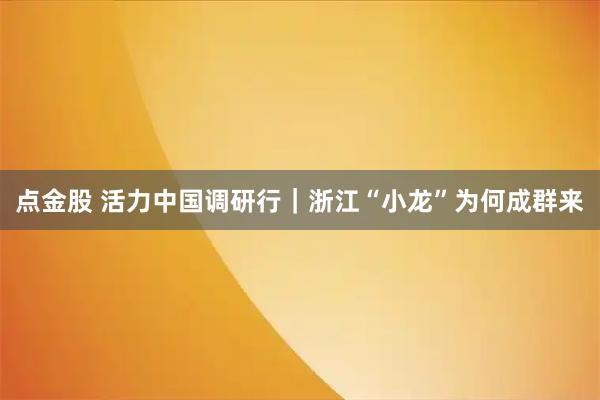 点金股 活力中国调研行｜浙江“小龙”为何成群来