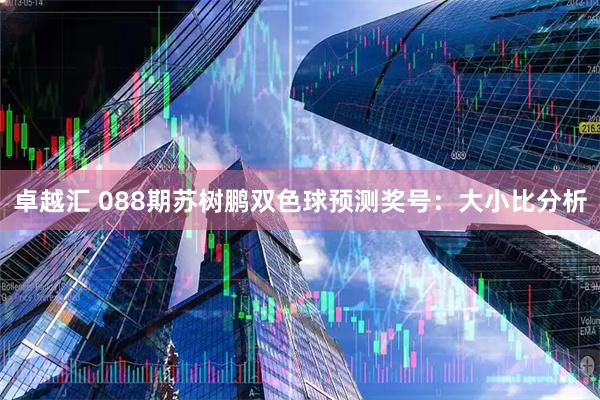 卓越汇 088期苏树鹏双色球预测奖号：大小比分析