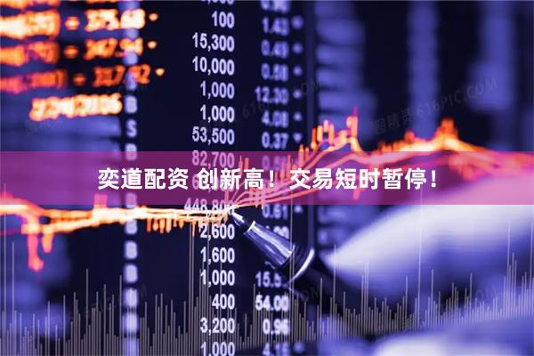 奕道配资 创新高!交易短时暂停!