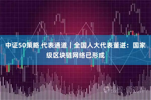 中证50策略 代表通道｜全国人大代表董进：国家级区块链网络已形成