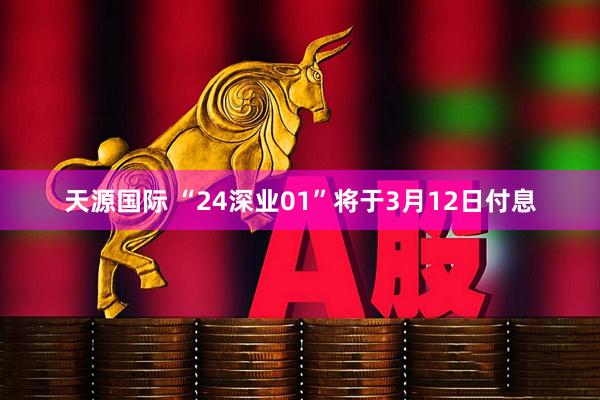 天源国际 “24深业01”将于3月12日付息