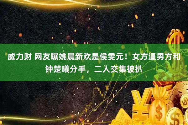 威力财 网友曝姚晨新欢是侯雯元！女方逼男方和钟楚曦分手，二人交集被扒