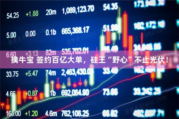 擒牛宝 签约百亿大单，硅王“野心”不止光伏！