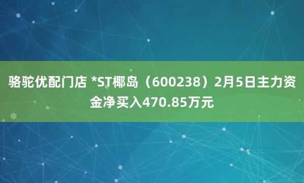骆驼优配门店 *ST椰岛（600238）2月5日主力资金净买入470.85万元