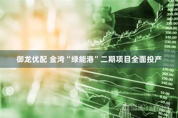 御龙优配 金湾“绿能港”二期项目全面投产