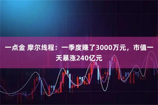 一点金 摩尔线程：一季度赚了3000万元，市值一天暴涨240亿元