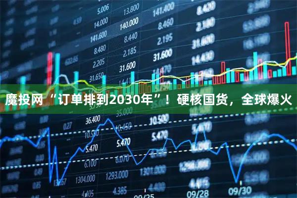 魔投网 “订单排到2030年”！硬核国货，全球爆火
