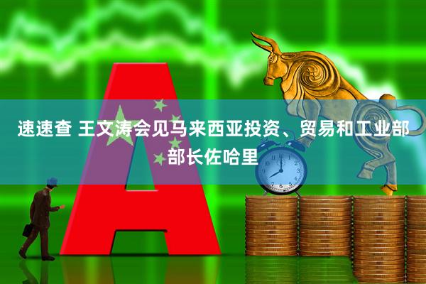 速速查 王文涛会见马来西亚投资、贸易和工业部部长佐哈里
